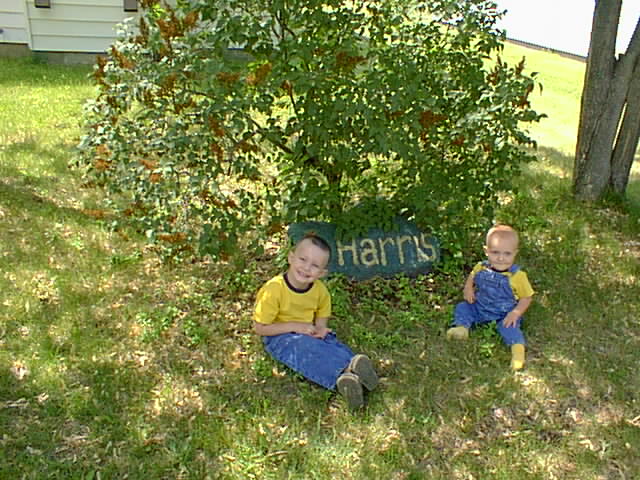 Timmy and Elijah posing in the yard with matching outfits :)  I think its time to repaint the rock again.