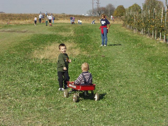 I think Timmy was getting tired of pulling Elijah :)