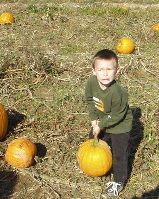 Timothy thought the pumpkin he picked was really heavy.