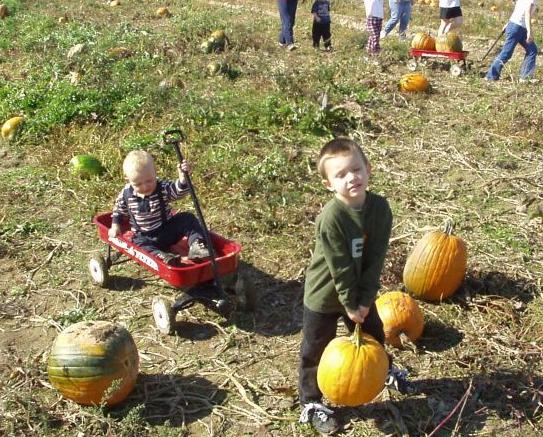 It looks like Timothy is sleep walking with his pumpkin :)