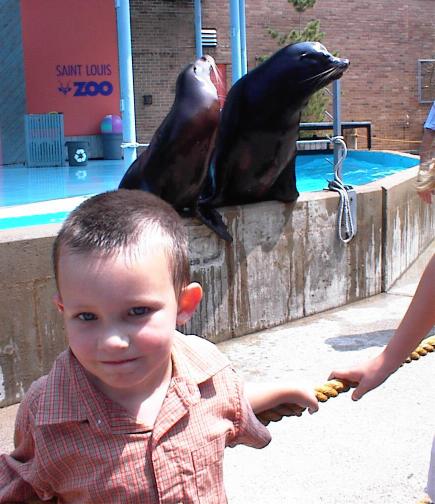 This is as close as they would let me get to the Sea Lions :)