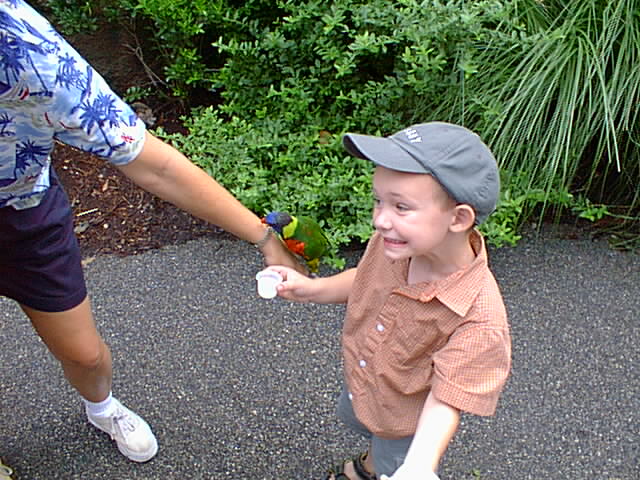 Timothy wasn't really sure about feeding the Lorikeets.
