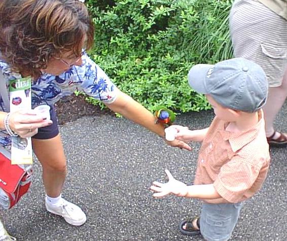 Timothy is getting some help with the birdie :)