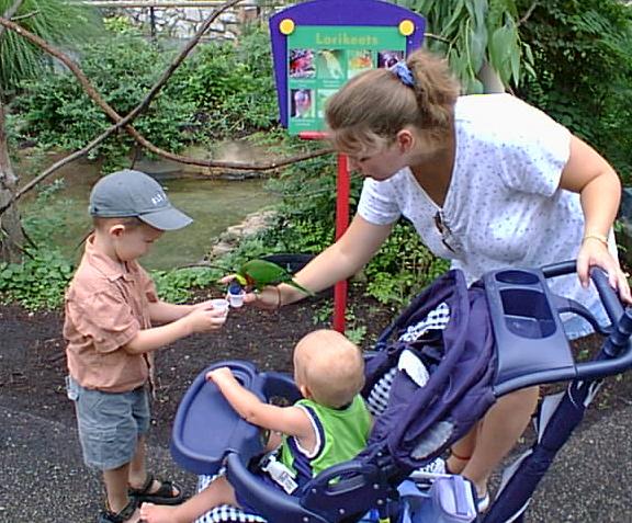We enjoyed feeding the Lorikeets - We didn't even get pooped on :) (YES, we did bring Elijah)