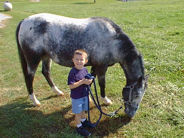 Timothy is taking Abby for a walk.