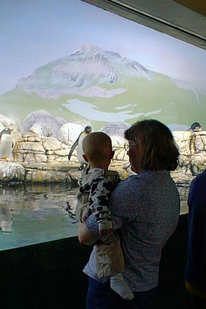 These are Memaws favorite animals (next to chickens) - I think she is trying to get it to rub off on Elijah.