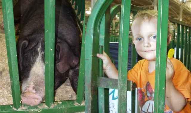 Now, which one do you think is going to be bacon? hehe