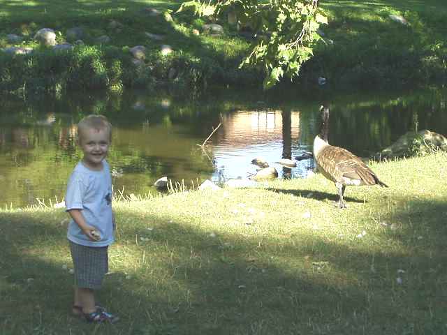 Elijah was so proud of himself for feeding the geese.