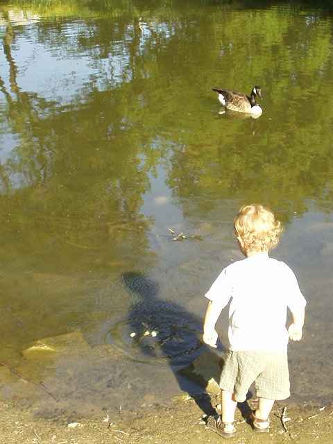 I think Elijah was trying to feed his shadow :)