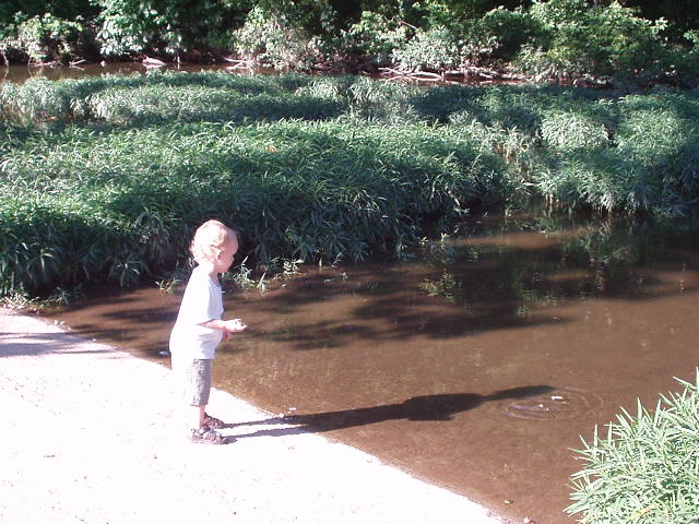 When you can't find any ducks and only two geese...you feed the fish :)