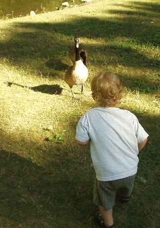 Elijah was actually talking to the geese. They appear to be listening :>