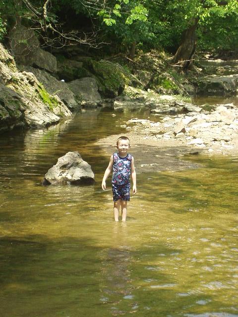 I don't know if the sun was in his eye's or if I just took the pic at the wrong time :)