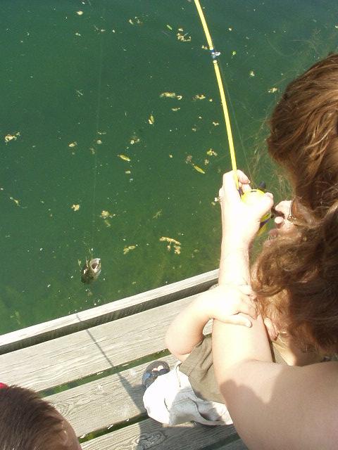 Don't you like how Elijah is helping reel the fish in? He did help start the reeling process :)