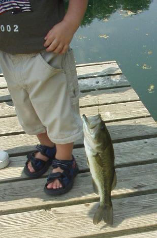 I think this fish is bigger than any that I have caught :)