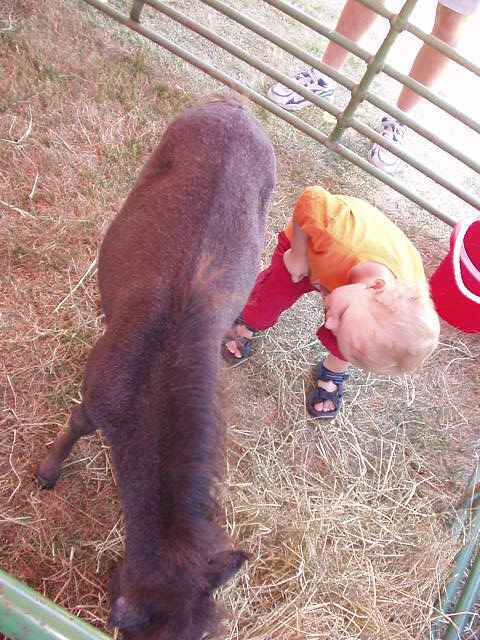 Little boys are curious!!