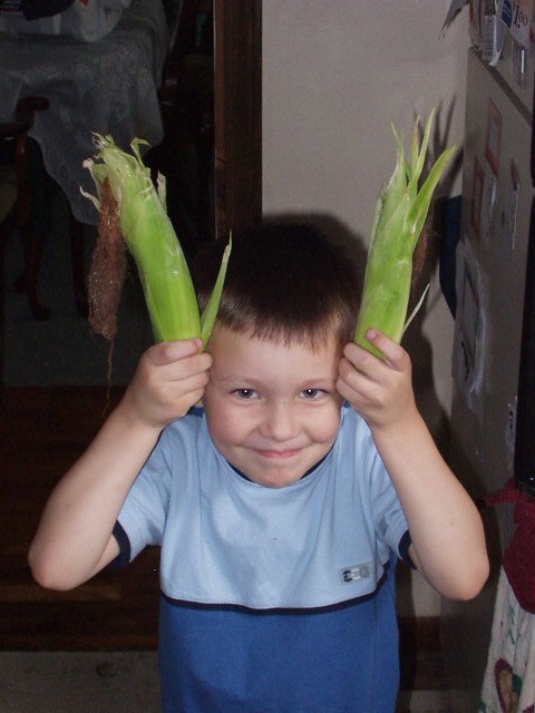 I helped plant the corn in our garden and then I picked these ears of corn when they were ready.