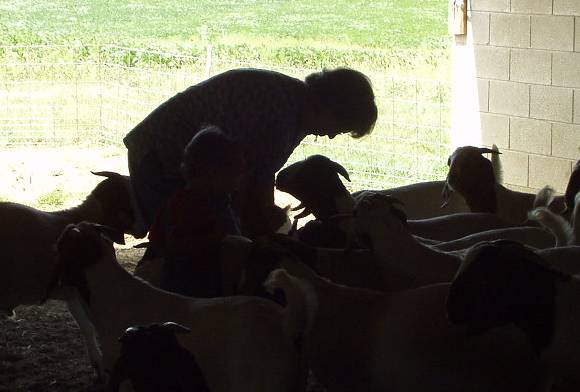 I thought this was a cool picture.