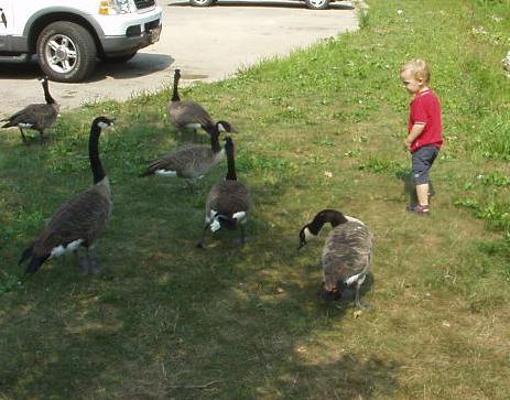 Elijah was feeling a bit out numbered!