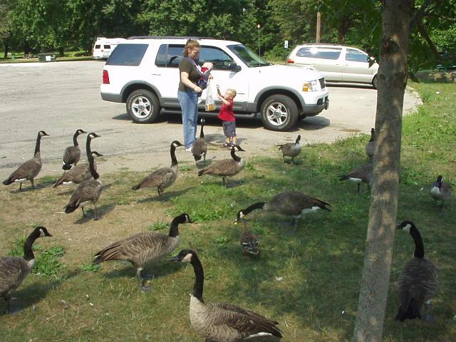 Can I have some bread?