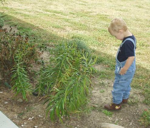 Where did that kitty go?