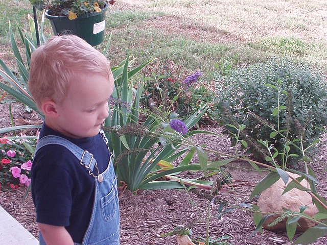 These flowers smell really good :)