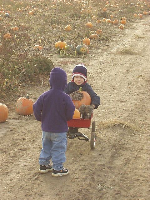 Ok, Timothy..you need to get out!