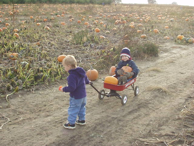 this may take more than just one hand!