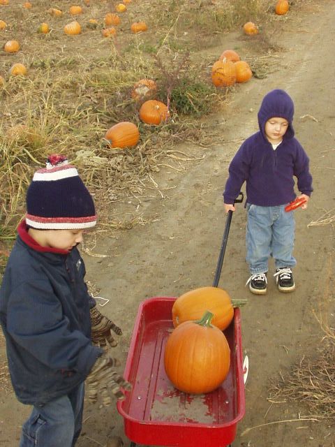 I am just going to get in the back.