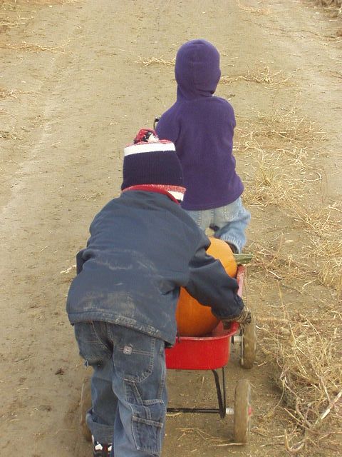 Dirty little backside.