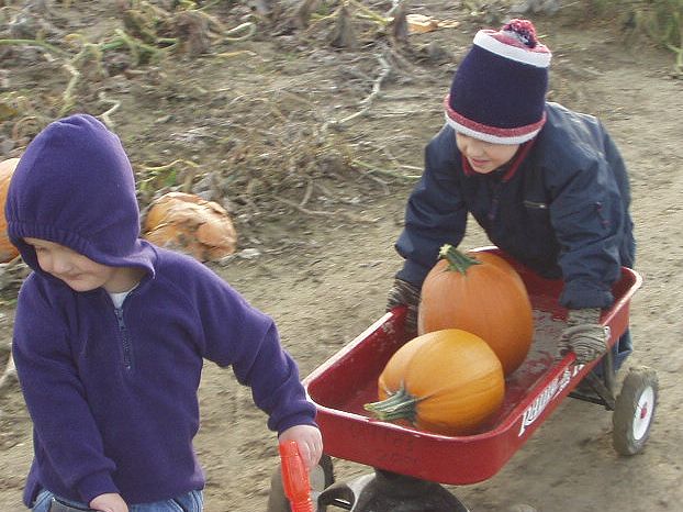 Hurry Dr. Timothy....we have to get these to the C.R. (carving room) hehe