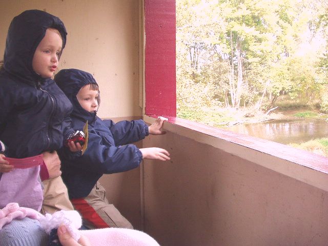 I'm not really sure what they found so interesting?