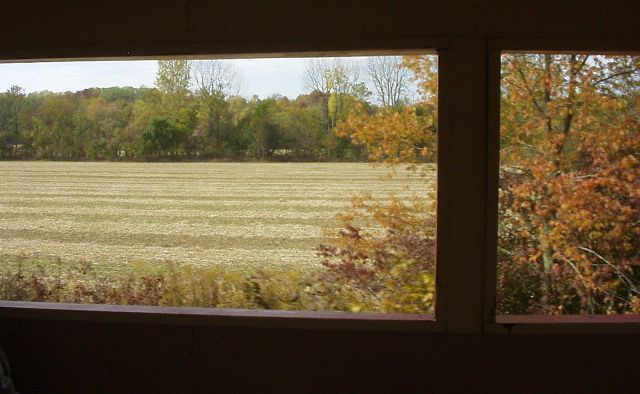 Just thought this was pretty :)