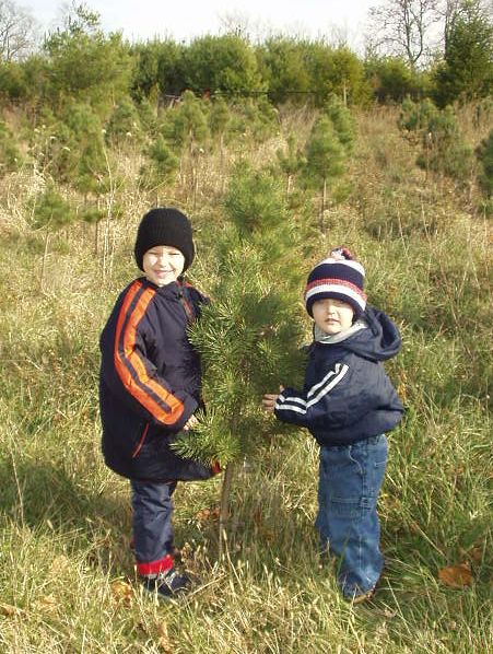 Timothy and Elijah wanted to get this tree...it was cute. I finally had to tell them the tree had to be taller than me :) hehe