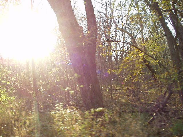 Just another cool picture.