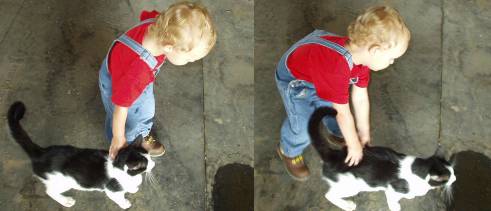 If you can't pull the kitty to the water...push him!