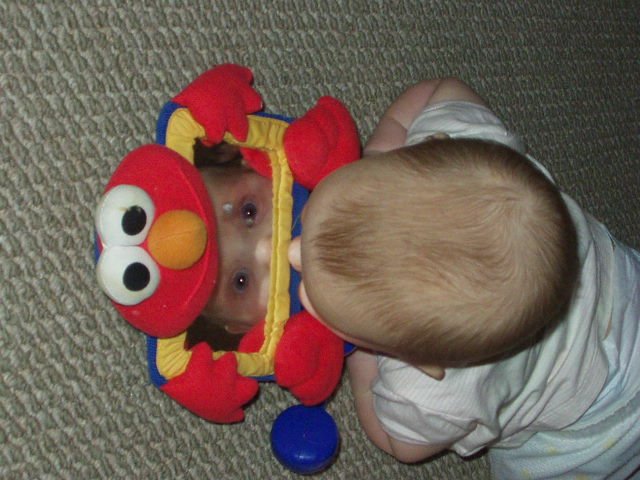 Everytime I put a mirror in front of Abigail..she presses her face on it :) so..so..cute! :)(: