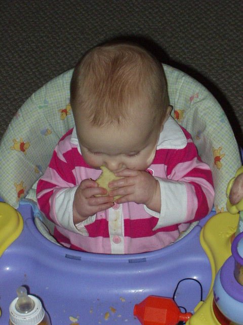 Abigail is eating her first sugar cookie (one of several).