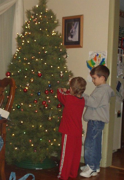 Timothy and Elijah did a wonderful job on the tree!!