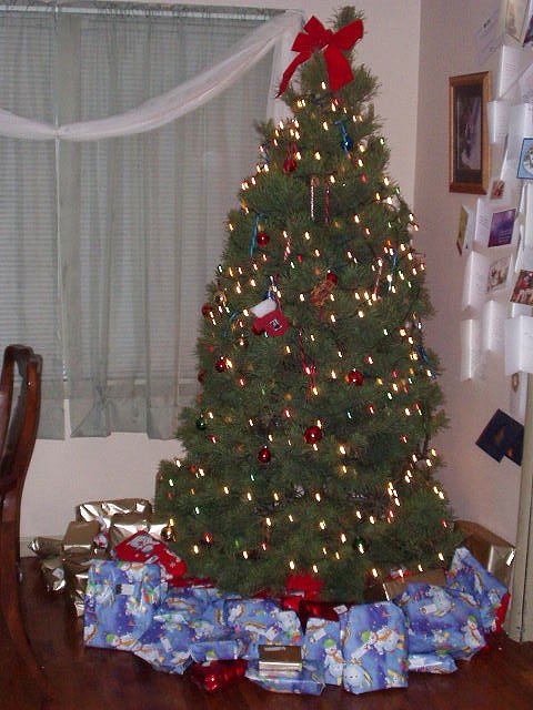 Next year you will probably just see the tip of the tree :)