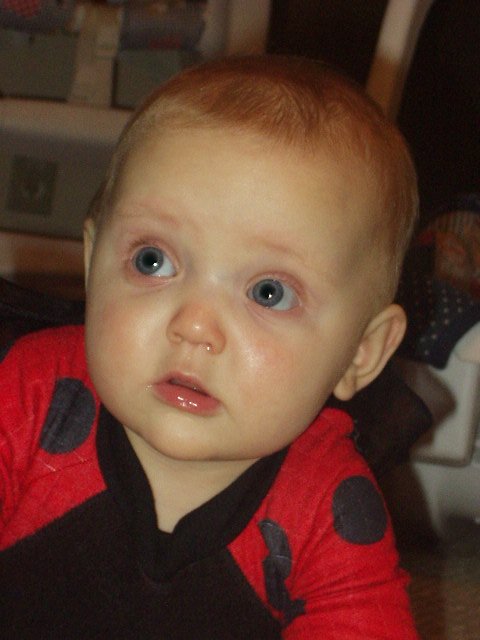 I am one cute little bug!!