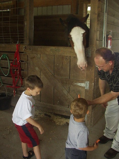 Uncle Bill is telling Elijah how to feed the horse.