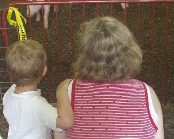 Elijah and Mamaw are watching the pig show!