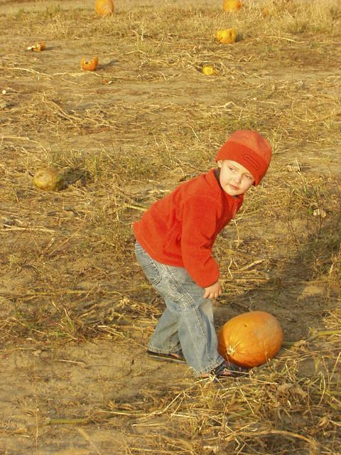 What about this one Mommy?