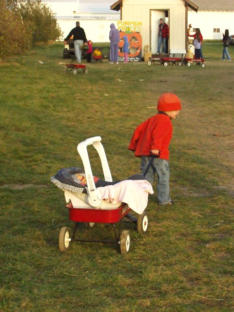 Elijah is pulling the wagon all by himself!