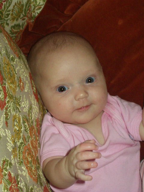 Give me that camera Mommy!!