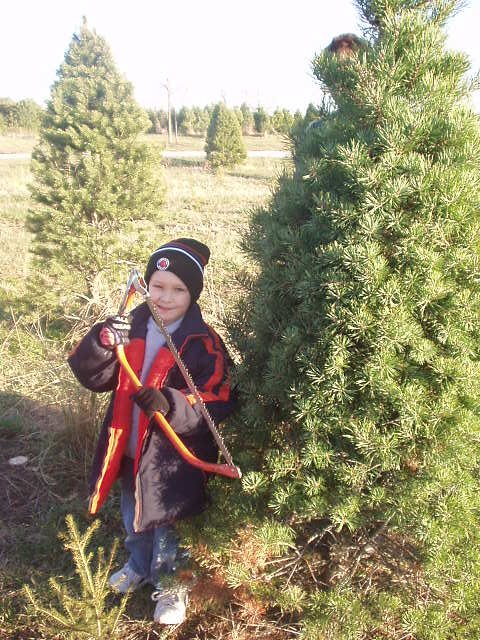 Man, cutting down a Christmas tree is really hard for a boy my size!