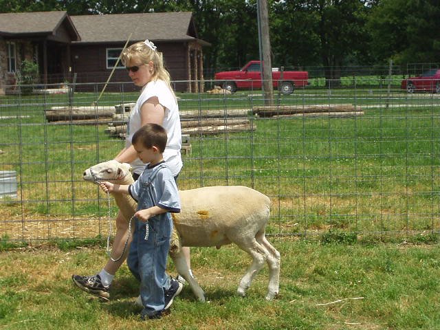 Timothy is learning all there is to know about sheep from Mary :):)