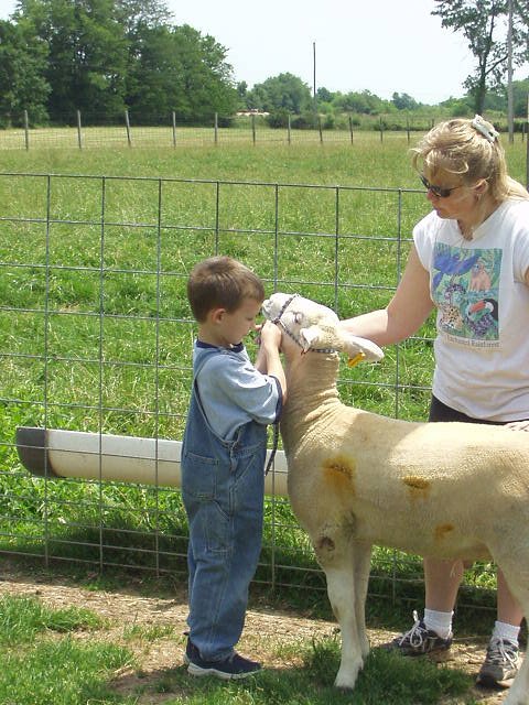 I was in a fight with a fence :(