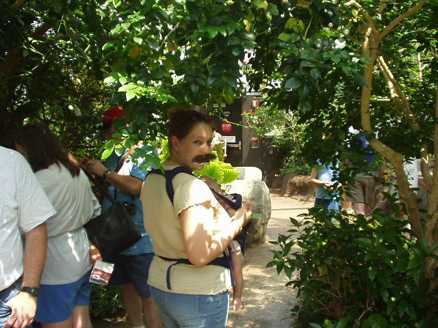 I had a butterfly on my shoulder and before Nathan could take a picture of it on me it took off... So, now I have a mustache!!