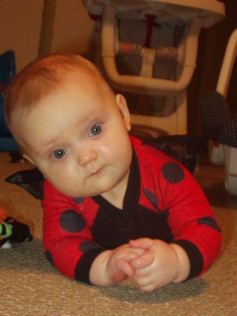 Please don't step on me :)